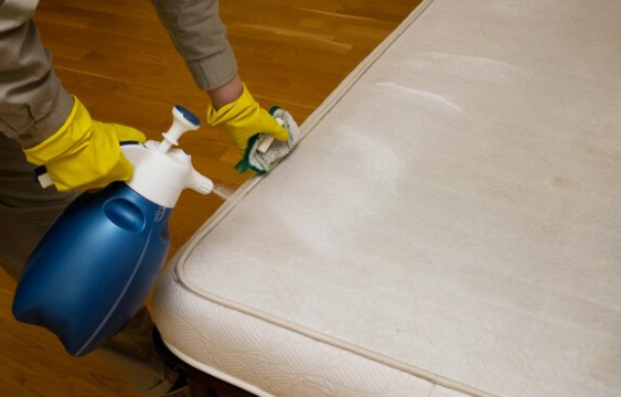 How to Prevent Mold on Mattresses Humid