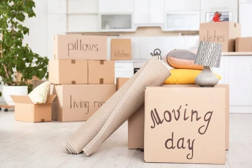 pre move in cleaning