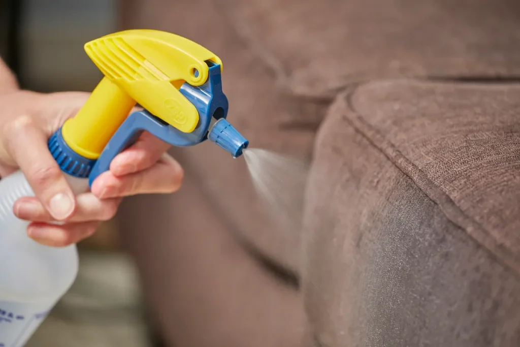 spot test cleaning solution on fabric sofa
